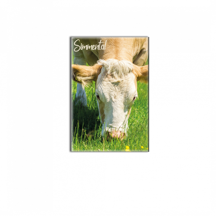 vache-simmental-aimant