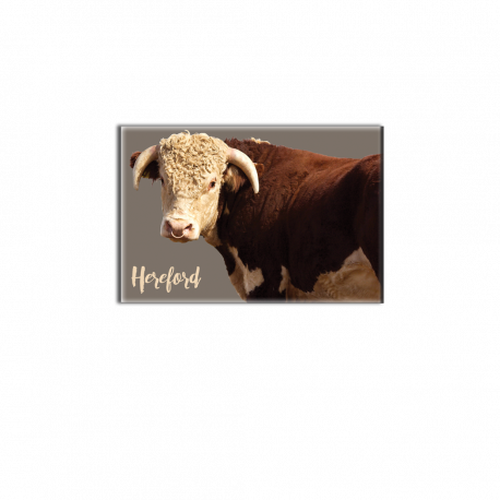 HEREFORD - magnet frigo