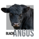 Mug Black Angus