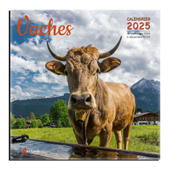 Calendrier Vaches 2025