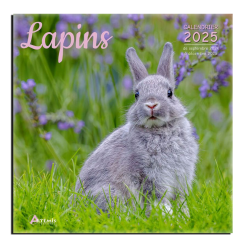 Calendrier Lapins 2025