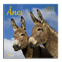 Calendrier Anes 2025