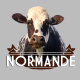 Normande