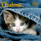 Calendrier Chatons 2025