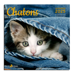 Calendrier Chatons 2025