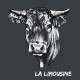 Body-Warmer La Limousine